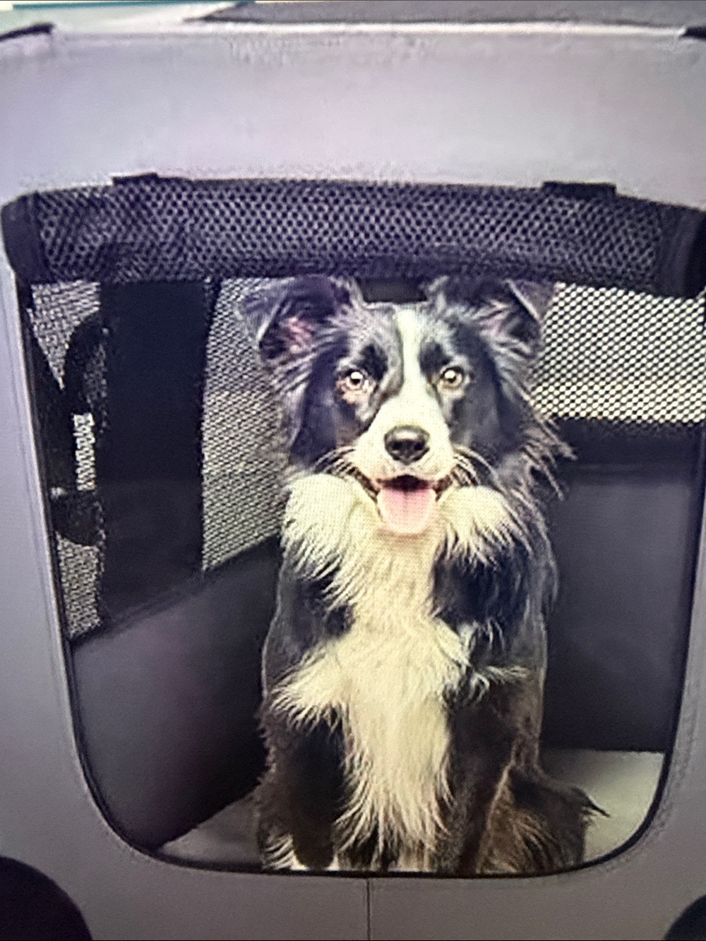 Portable /collapsable dog travel crate for medium- large dog. NWOT - Picture 4 of 10